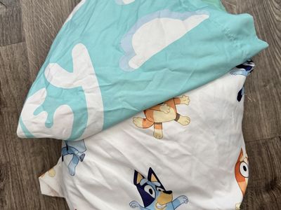 Twin Bluey Sheet Set