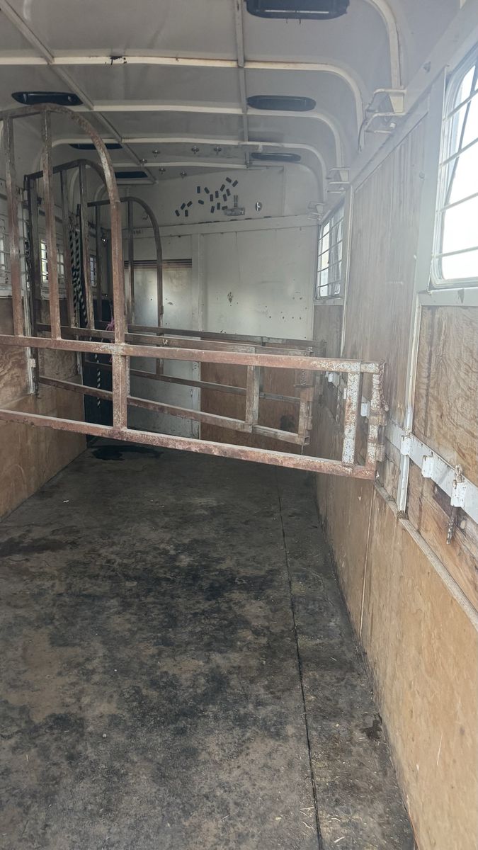 Main image 10