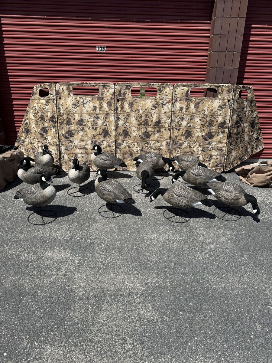 Dakota Goose Decoys