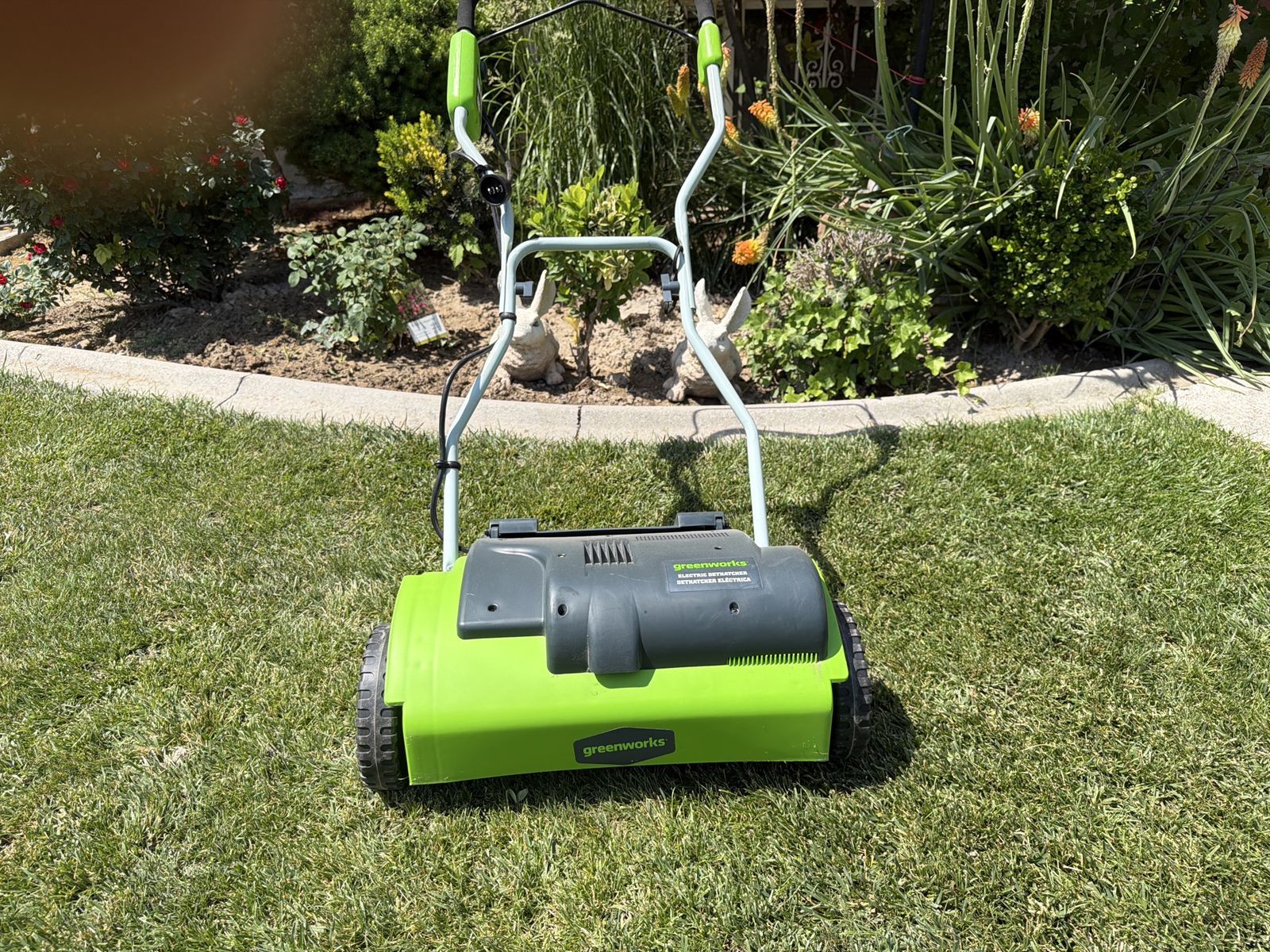 GreenWorks De-Thatching Machine Model27022 electrical cord required.  Extra Tines.