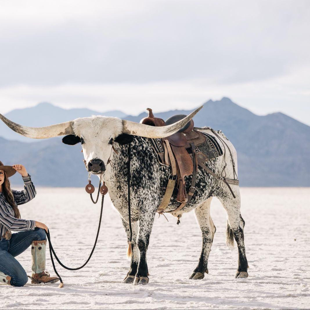 Longhorn 
