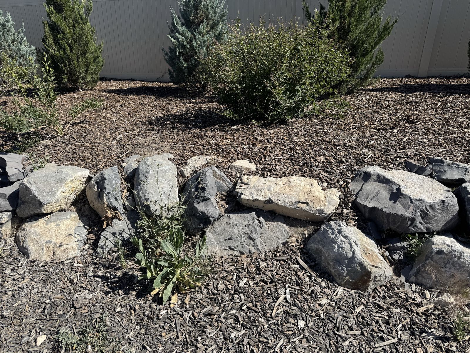 Main image 2