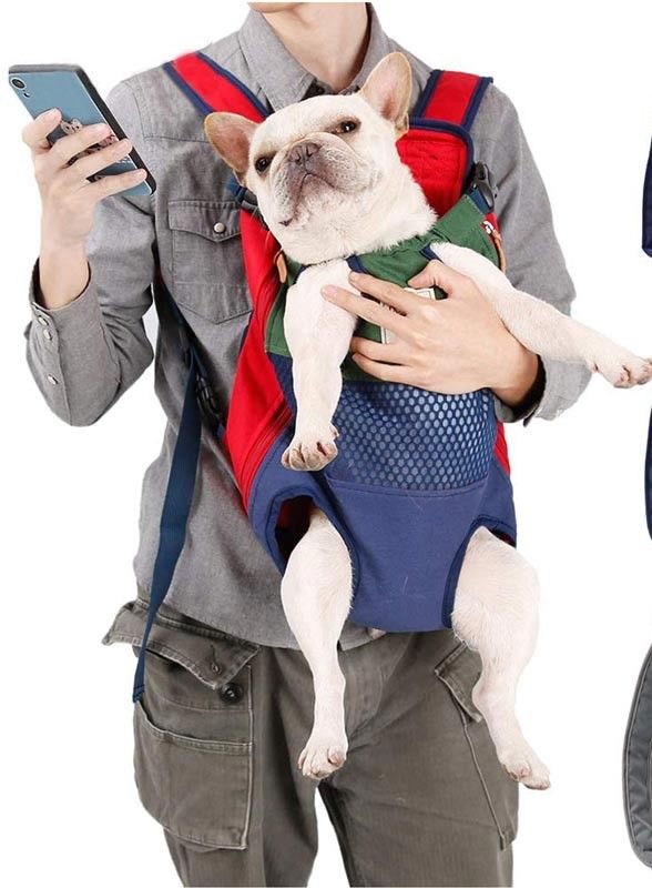Blue and Green Front-Facing Dog Backpack