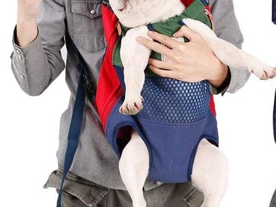 Blue and Green Front-Facing Dog Backpack