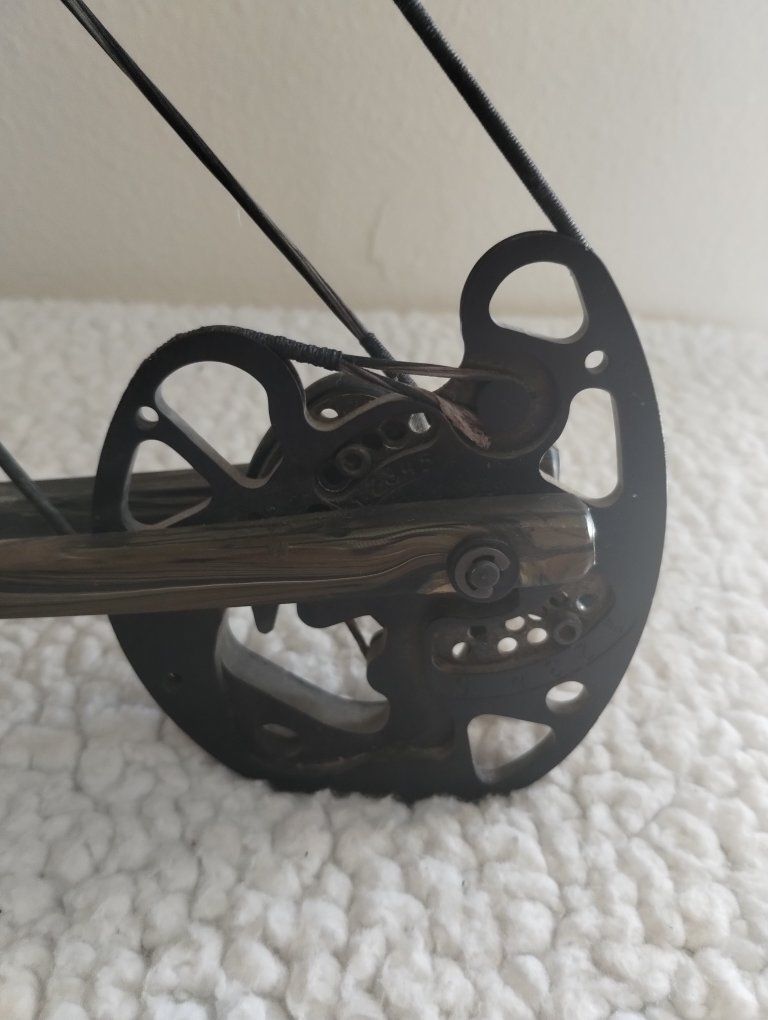 Main image 5