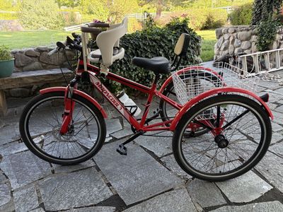 Tricycle Bike with Baby Seat