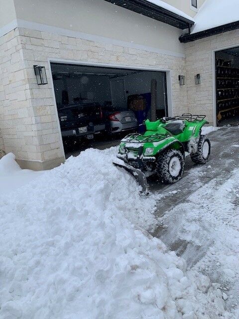 Kawasaki Prairie for Sale