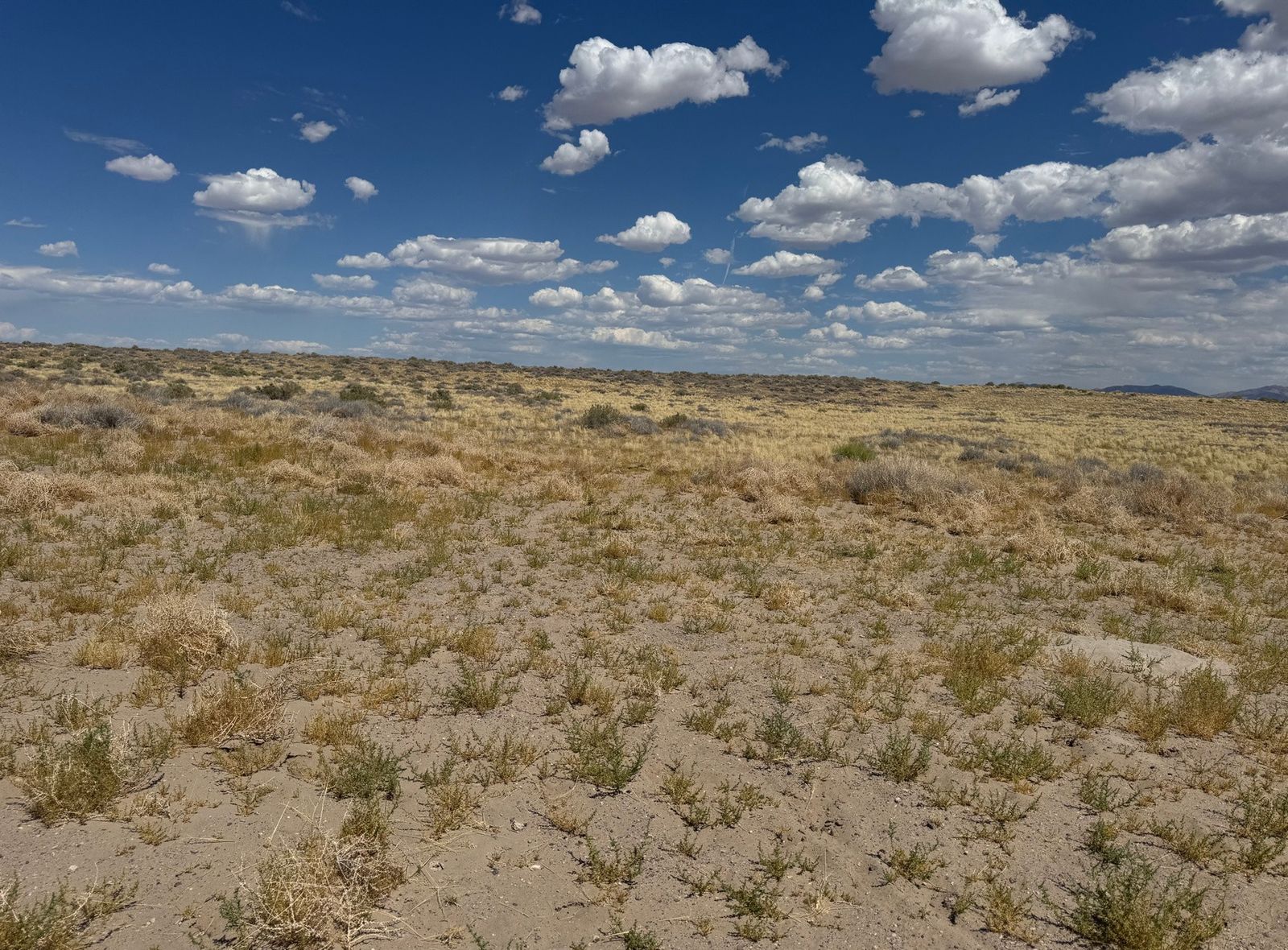 Main image 5