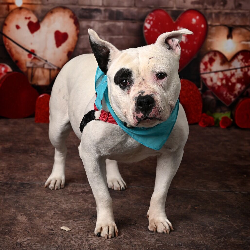 Hello my name is Blanca