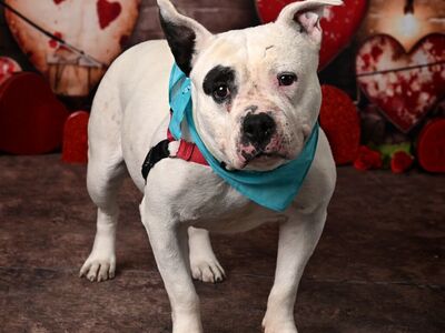 Hello my name is Blanca