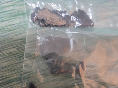 Assorted Arrowheads - Various Sizes & Materials