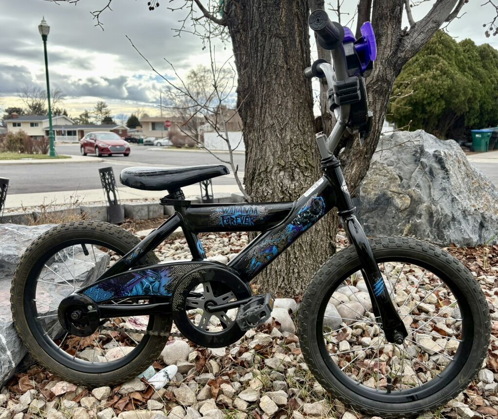 16 Inch Bike In Great Condition