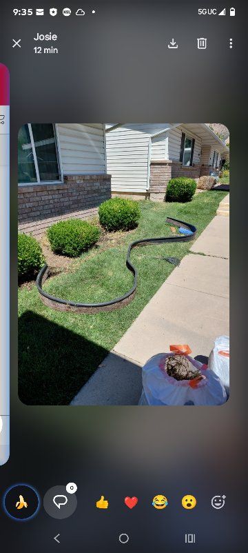 landscape edging