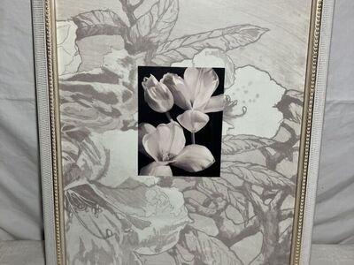 Lydia Cutter Finding The Way II Pier 1 Framed Art