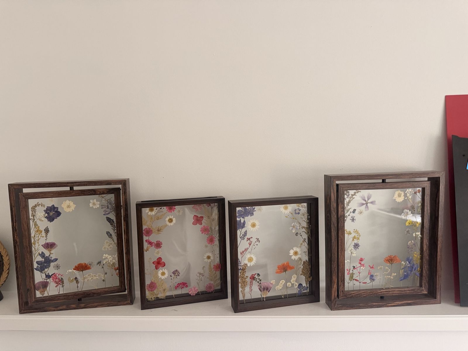 Set of 4 Wooden Floating Frames with Pressed Dried Flowers Botanical Art