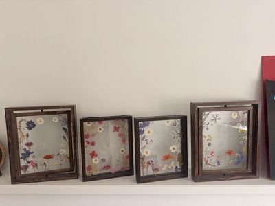 Set of 4 Wooden Floating Frames with Pressed Dried Flowers Botanical Art