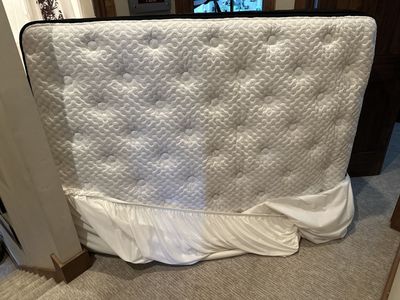 Full Sized Mattress