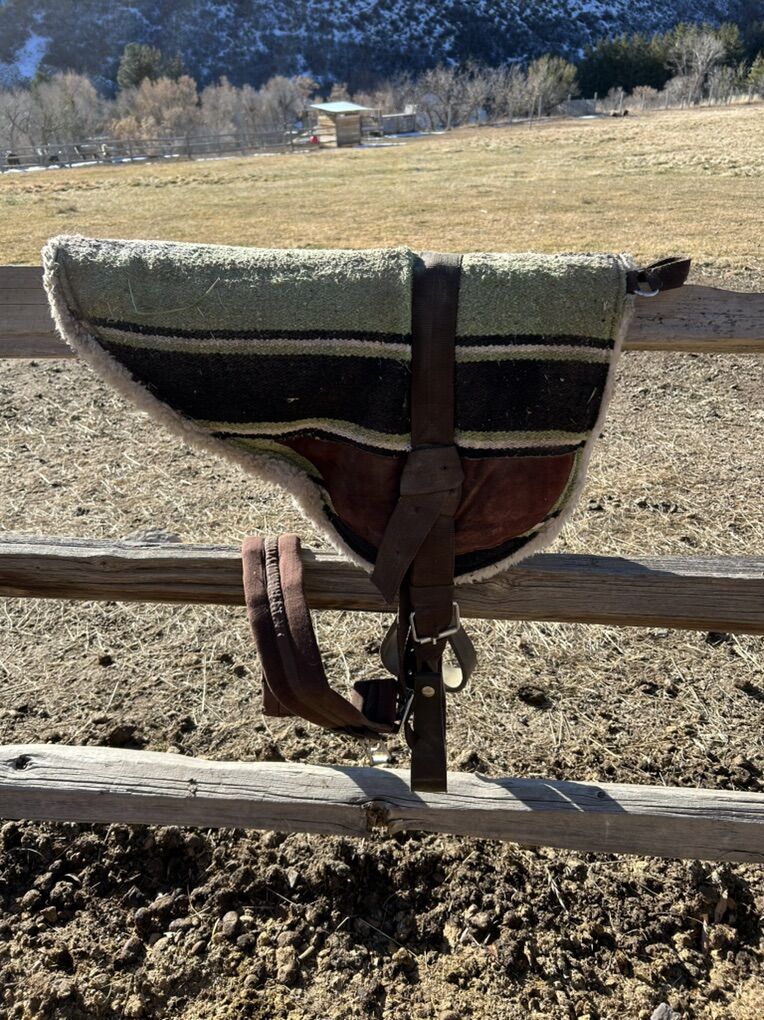 bareback Pad