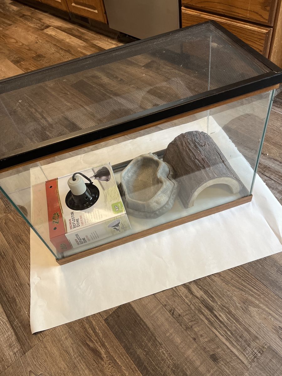 20 Gal High Reptile Set Up