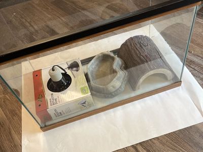 20 Gal High Reptile Set Up