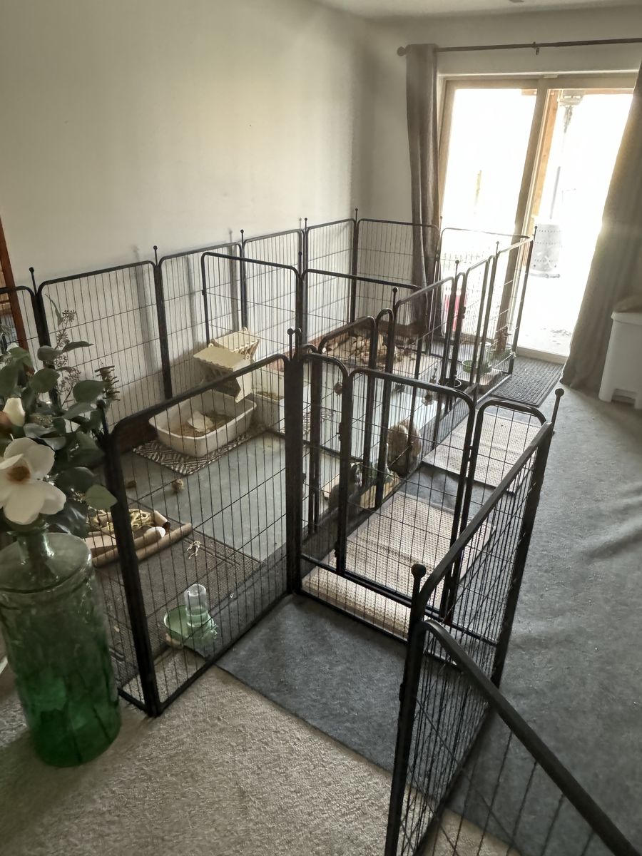Large Pet Cage/Gate/Playpen