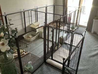 Large Pet Cage/Gate/Playpen