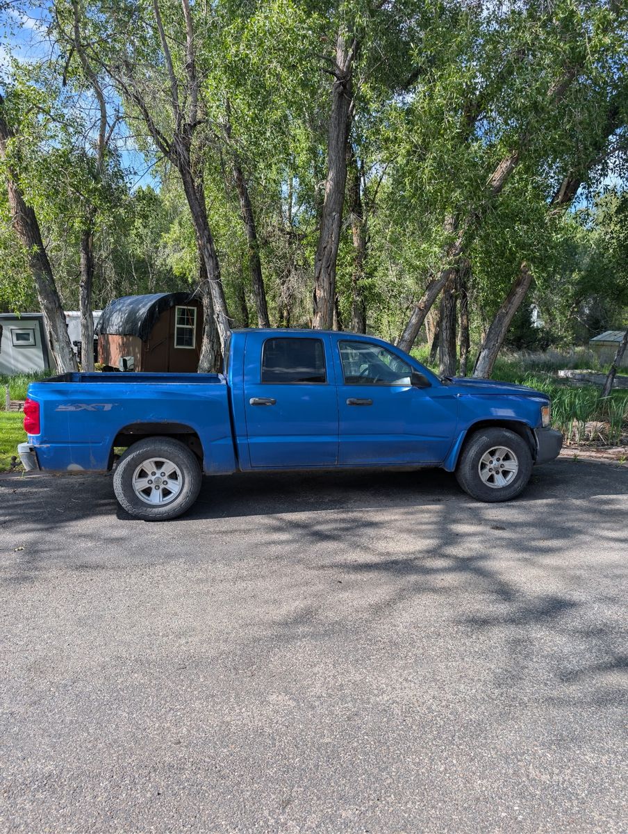 2008 Dodge Dakota SXT