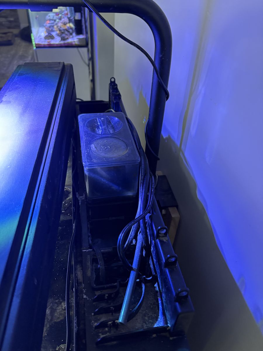 Main image 3