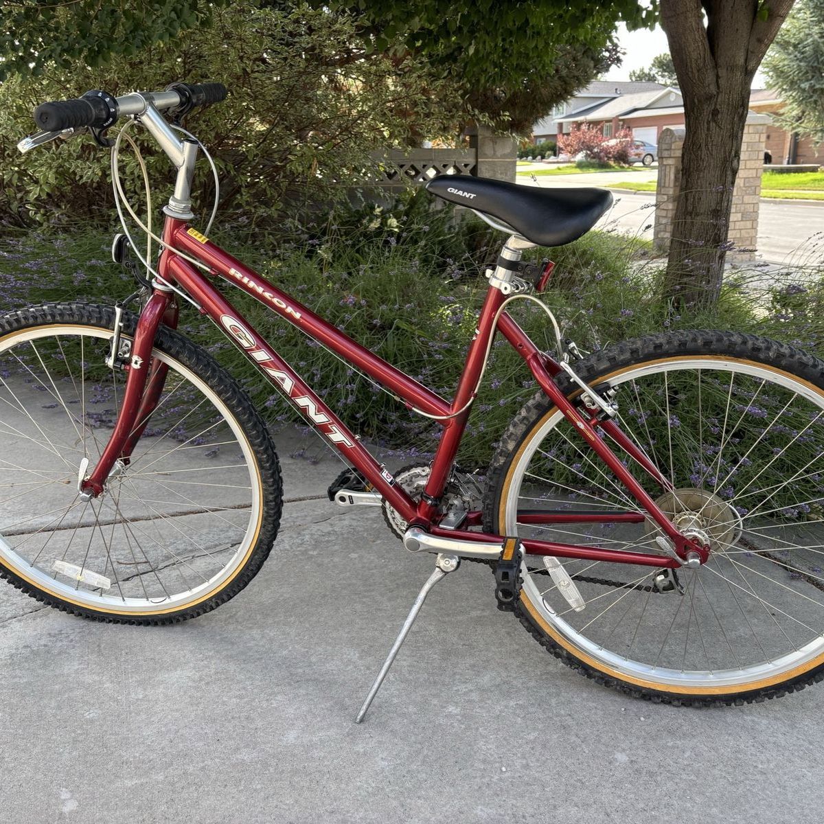 Giant Rincon bike