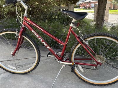 Giant Rincon bike