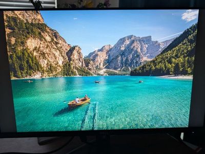 Monitor - Dell (2421NX) 24 inch