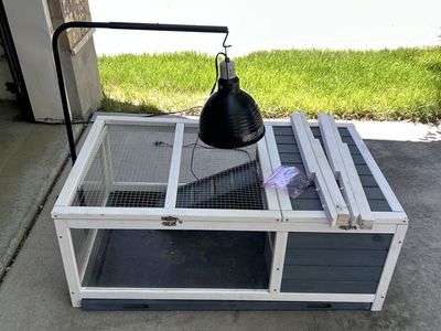 Tortoise habitat