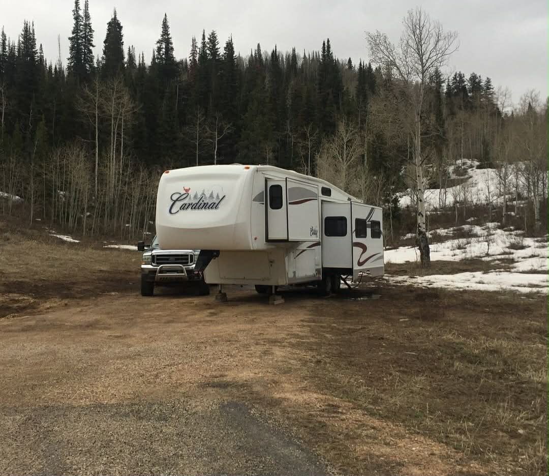 Cardinal forest river WB29 5th wheel goose neck