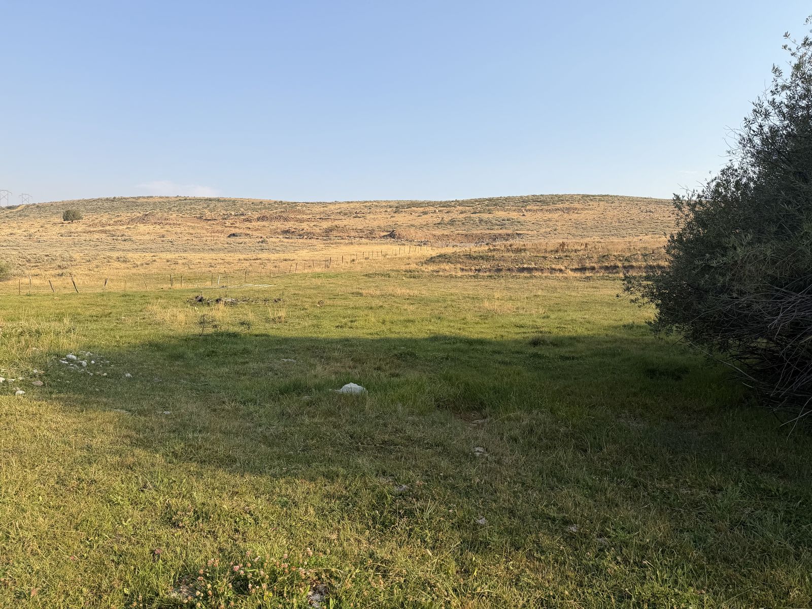 Main image 4