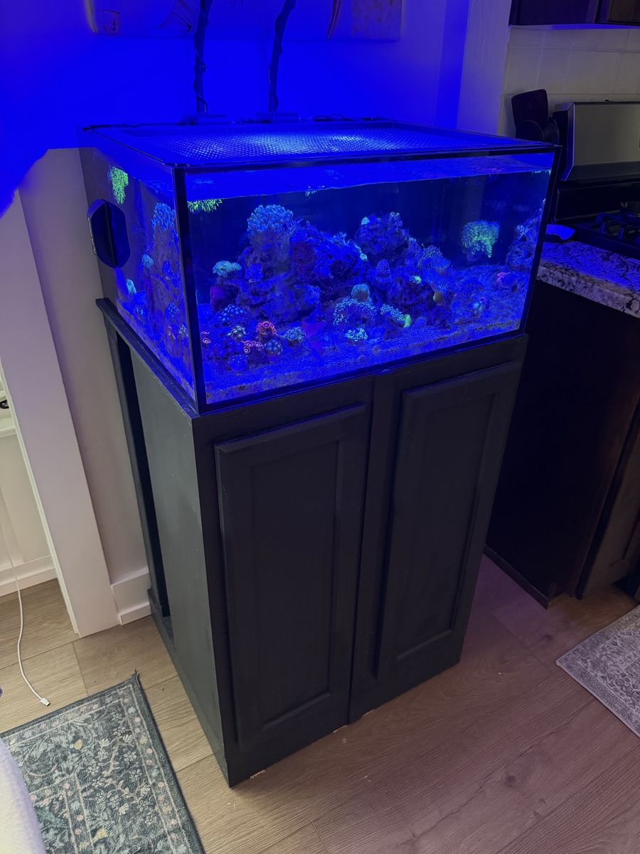 25 Gallon I.M. AIO Tank and Stand Only