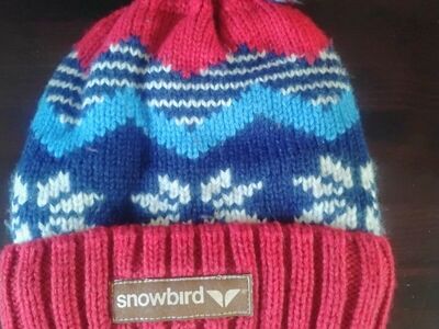 Snowbird beanie