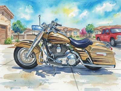 2003 Harley Davidson road King