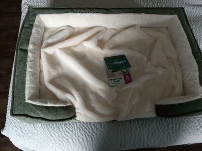 New nest-top sofa orthopedic plush dog bed green and cream