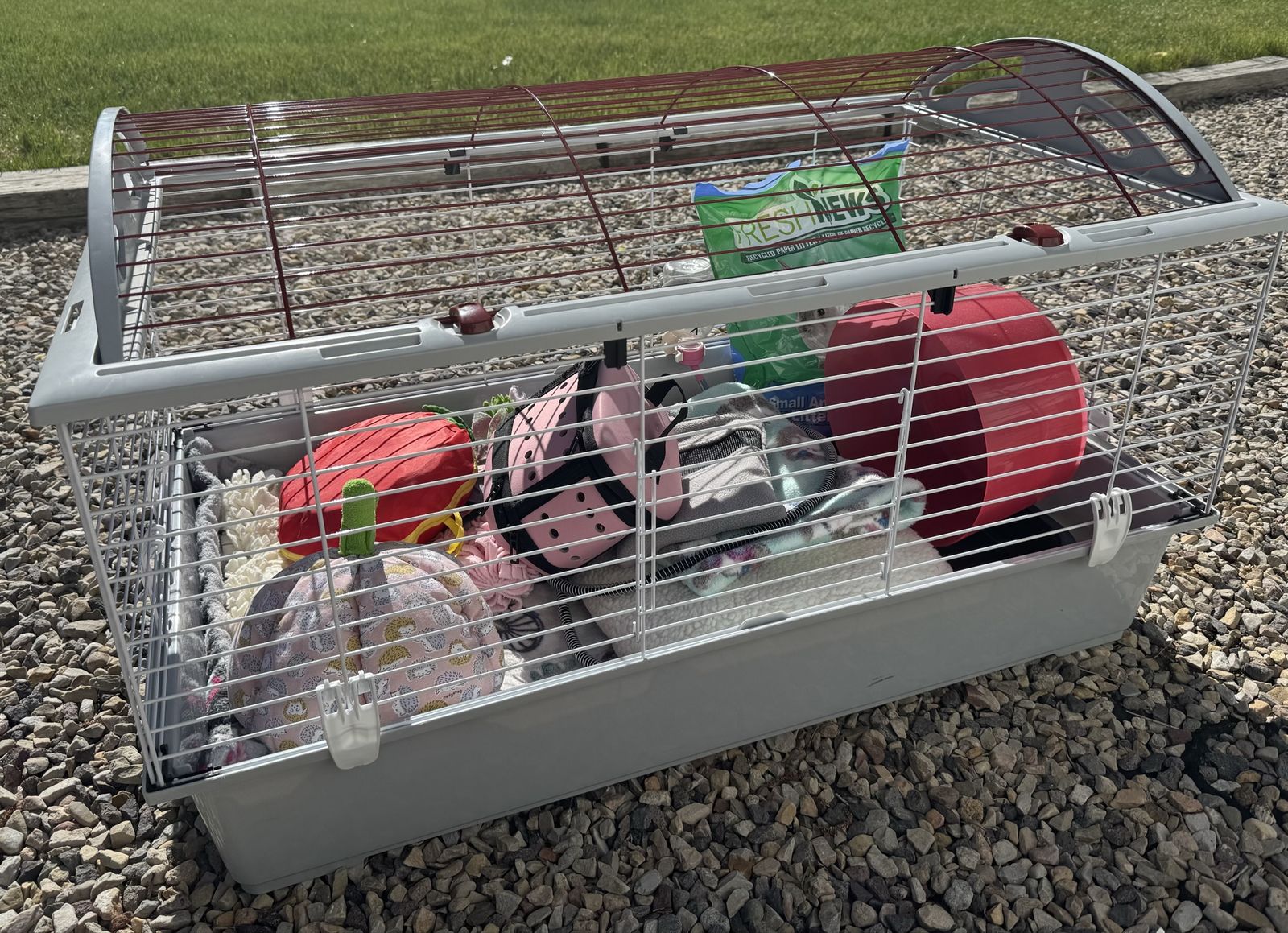 Hedgehog Cage and Accessories