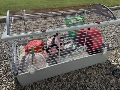 Hedgehog Cage and Accessories
