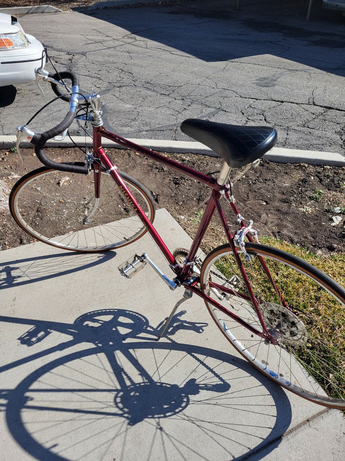 Vintage Nishiki XL Road Bike
