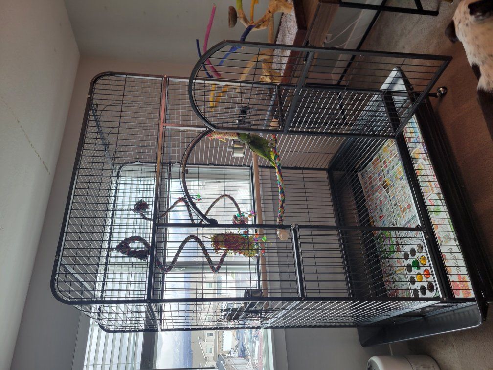 Large Macaw Cage