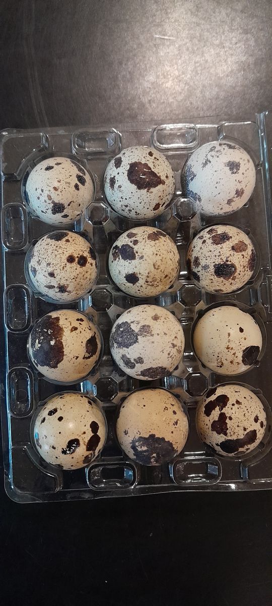 Quail Eggs