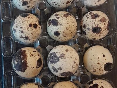 Quail Eggs