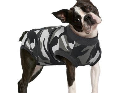 FUAMEY Dog Recovery Suit Male,Dogs Surgery Neuter Suits Puppy Spay Shirts for Female Protect Dog's Skin Anti Licking Abdominal W