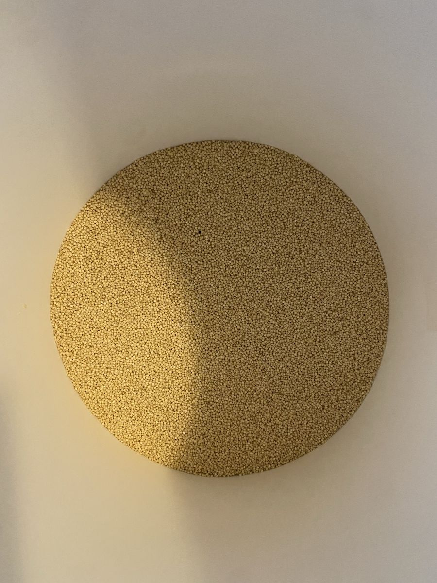Whole grain millet