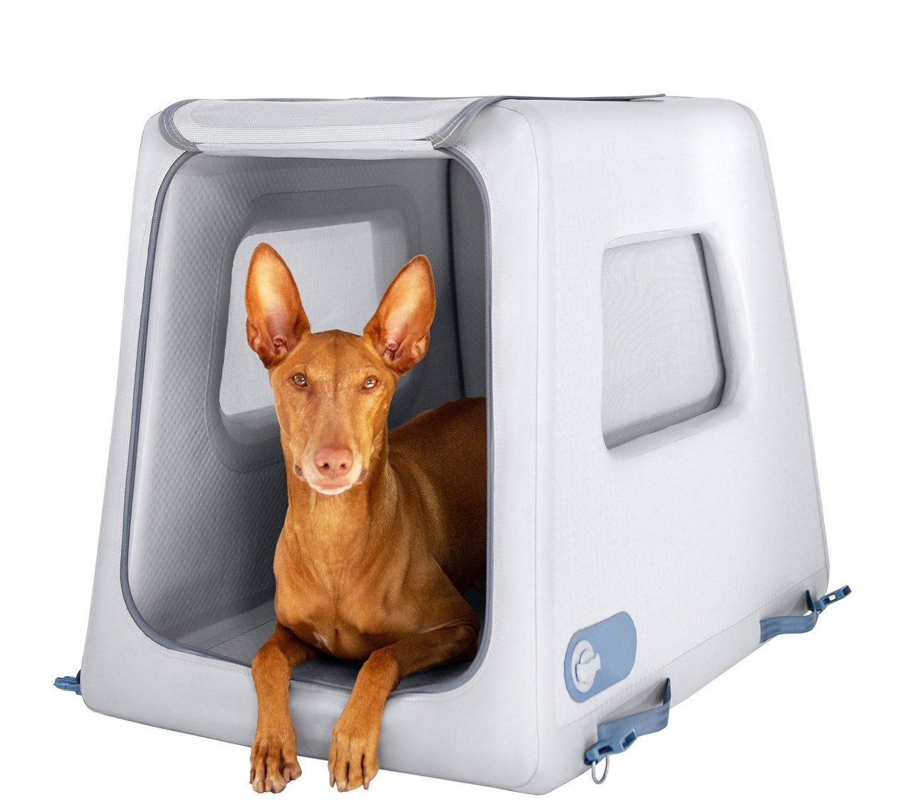 Diggs Enventur Medium Dog Inflatable Travel Kennel 1793032 #105840