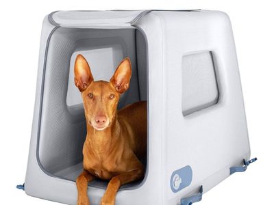Diggs Enventur Medium Dog Inflatable Travel Kennel 1793032 #105840