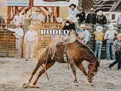 Draper days Rodeo July 10th Section A 2 Tickets