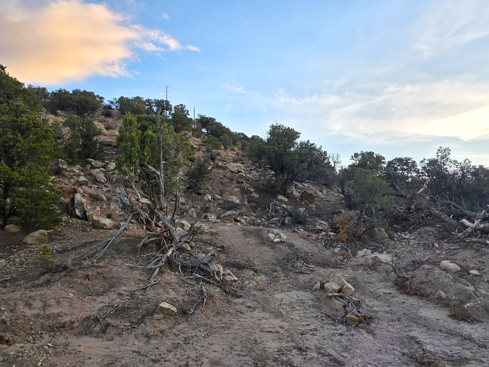 Main image 13